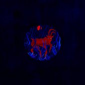 Below The Waste (Orchestrated)