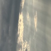 IMG_5584.jpeg