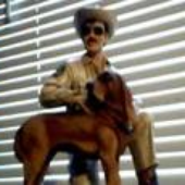 Avatar for dr_tednelson