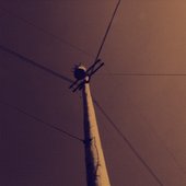 Approach of the Summer Storm