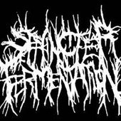 Sphincter Fermentation logo