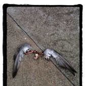 Untitled (2010)