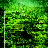 Ferns