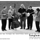 Tangleweed Press Photo, Millennium Park, 2006