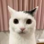 alina1109 的头像