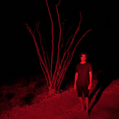 Screenshot 2026-02-28 at 12.31.05.png