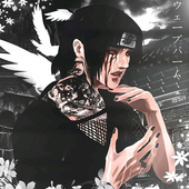 Avatar for moonshredder