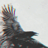 Avatar for Anaheith