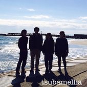 tsubamellia