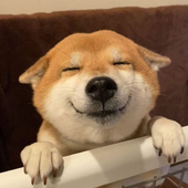 acants 的头像