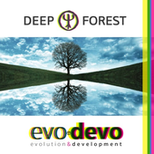 Avatar for DeepForestMusic