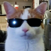 Avatar for holeinthescene