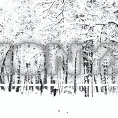 zonyx snow