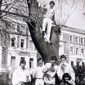 The Treetops