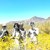 Looking to Grow - Alternative