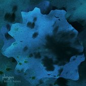 Black holes