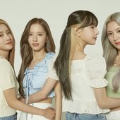 dispatch mag