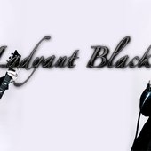 Ladyant Black