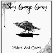 Spiders And Crows