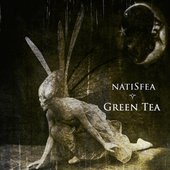 Green Tea - Single