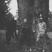 Ulver