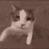 ab67616d0000b2735994badf99f7f7ec1dce568f.jpg