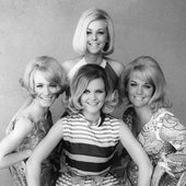 The Four King Cousins | Spotify