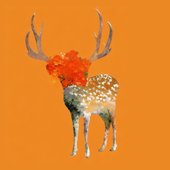 Everything Must Grow