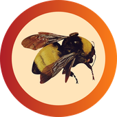Avatar for n00r41d33n