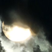 20230705_190343.jpg
