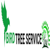 Avatar for ServiceBirdTree