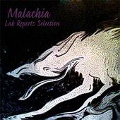 Lab Reports Selection