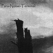 Para-Noise-Terminal