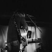 big brown cow - alex kent