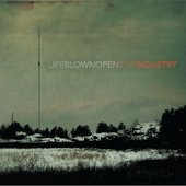 The Industry