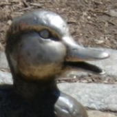 OuackMallard için avatar