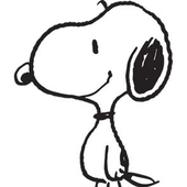 Avatar for beedooph