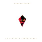Spheniscidae - La Historia Inempezable