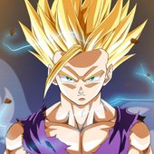 Gohan's Anger