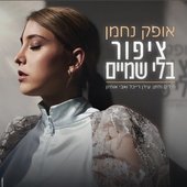 ציפור בלי שמיים