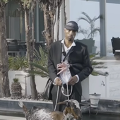 ed w goat.png