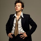 Harry Styles • Hits Daily Double