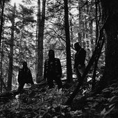 Kings Rot