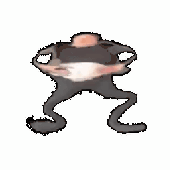 Avatar de Splunkk
