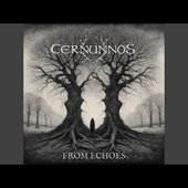 From Echoes