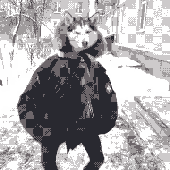 Avatar for muscevcak