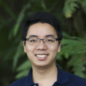 wangxinxi 的头像