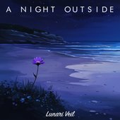 A Night Outside
