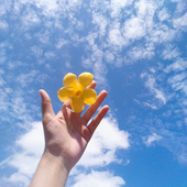 cieladrienne 的头像