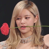 Avatar for ogjeongyeon